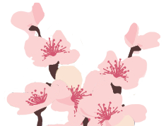 Footer Image