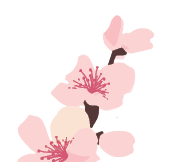 Footer Image