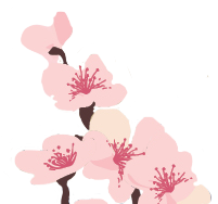 Footer Image