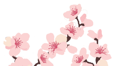 Header Image Left Middle