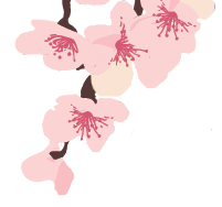 Header Image Right Middle