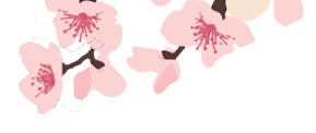 Footer Image